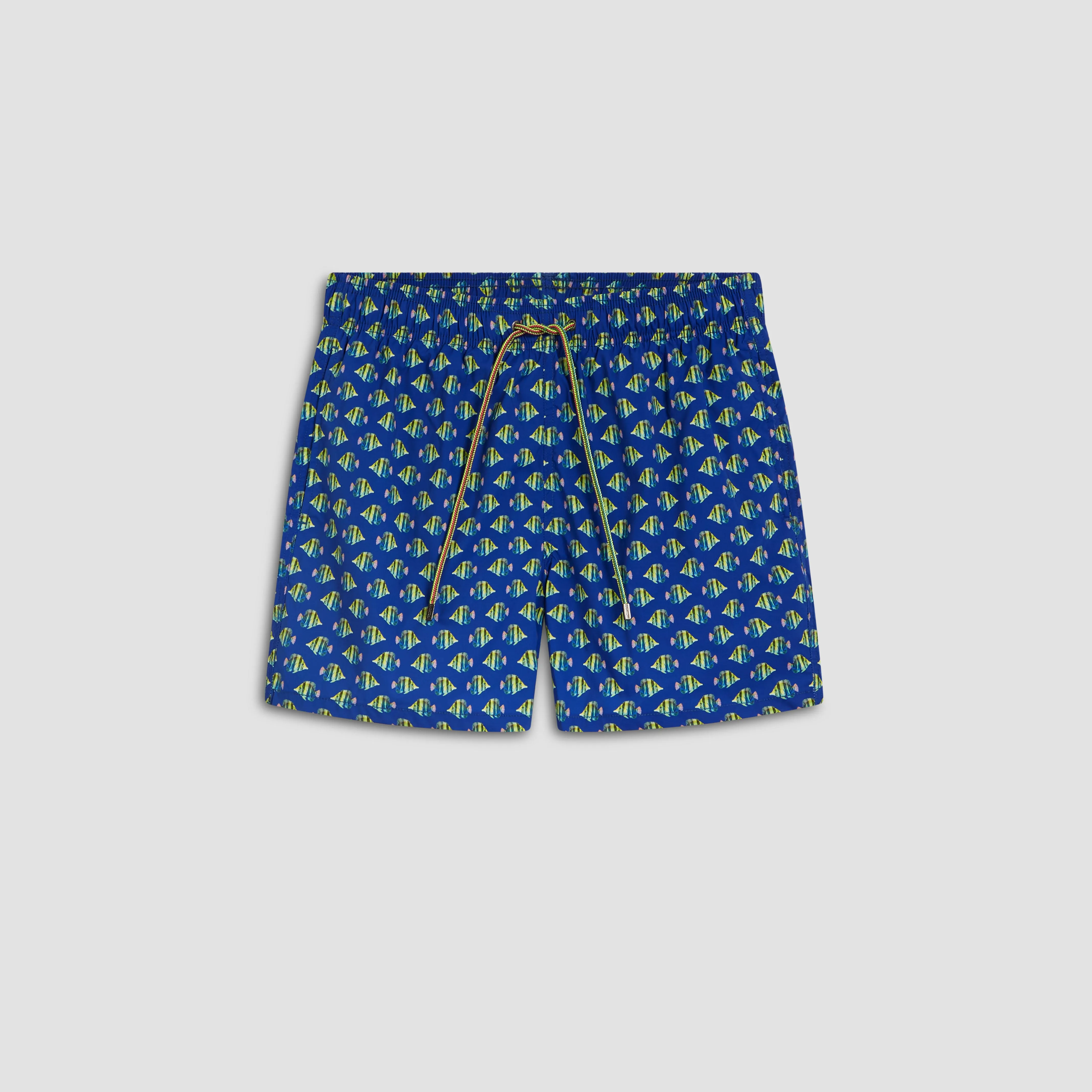 Archer Striped Fish Swim Trunks