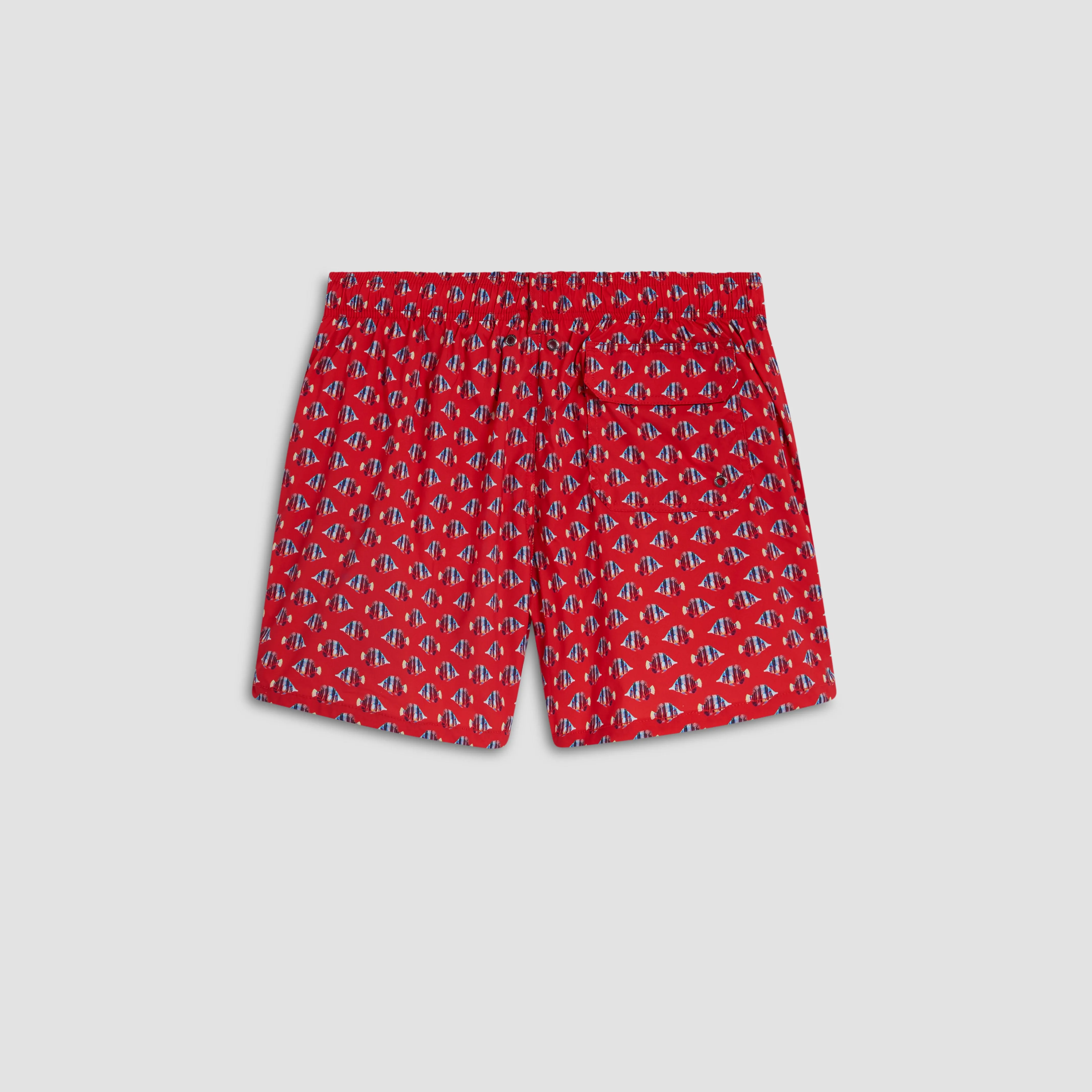 Archer Striped Fish Swim Trunks