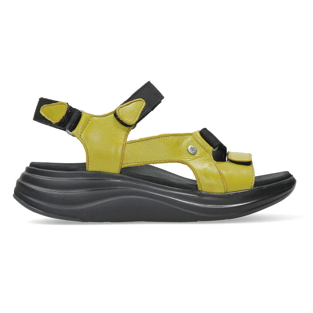 Cirro Sporty Sandal