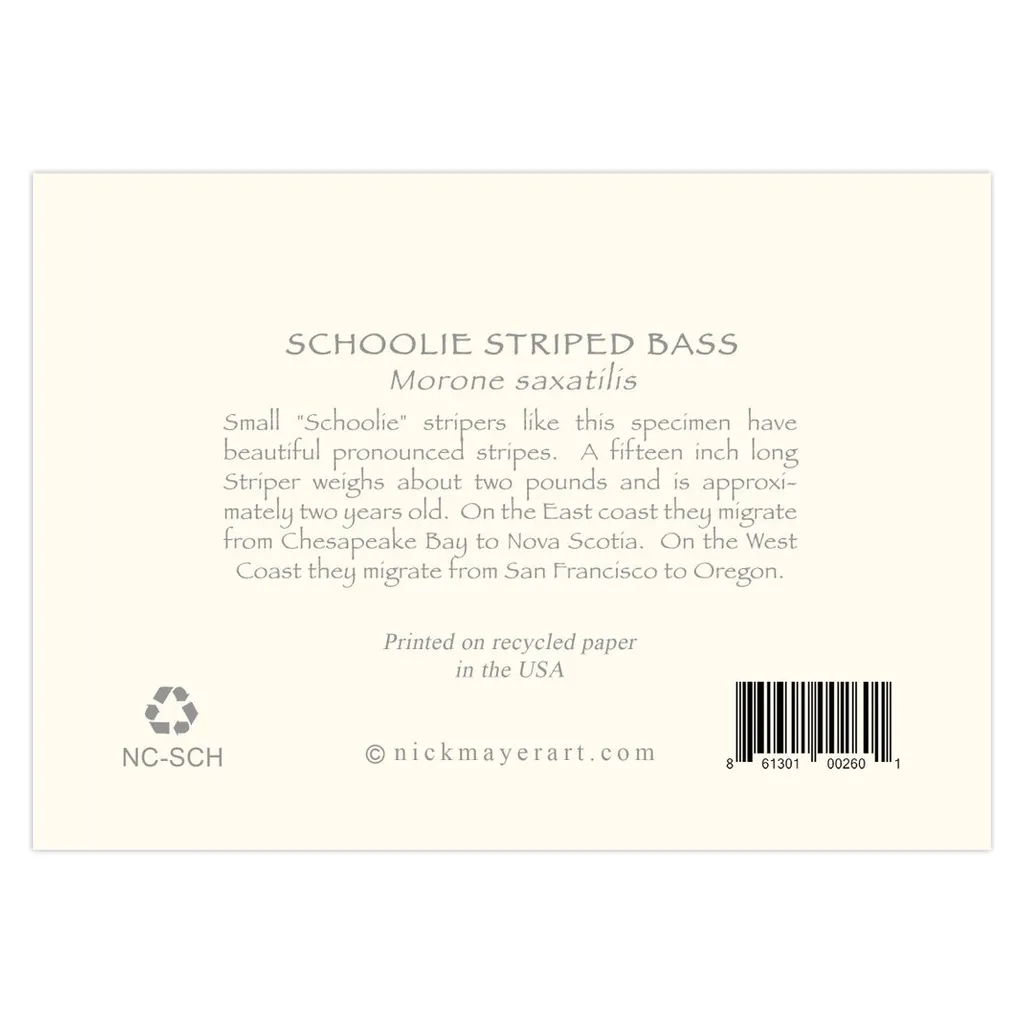 Schoolie Striped Bass Notecards